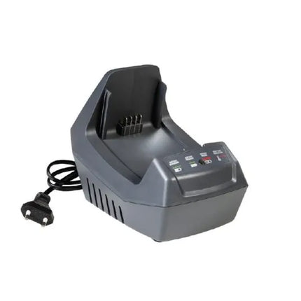 Oleo Mac Standard Charger